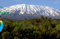 Mt. Kilimanjaro