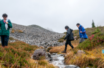 On the Saddle Trail